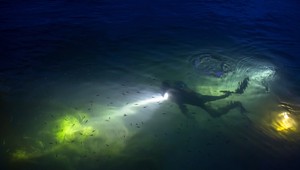 Neznáme monštrum z morských hlbín vydesilo svet!