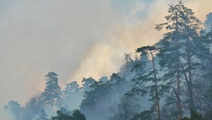 Pri Bystrici opäť horel les! V ohrození boli aj chatky