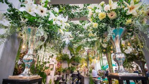 Bratislava rozkvitla, Flóra 2017 prináša nové trendy