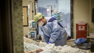 WHO: Tieto huby môžu byť po COVID-e ďalšou hrozbou pre verejné zdravie: Toto sú štyri najnebezpečnejšie!