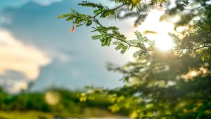 Piatok trinásteho prinesie až 18°C