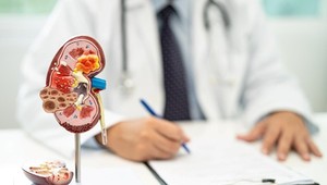 Príčiny vzniku obličkových kameňov a spôsoby ich liečby v Doktorpro Bratislava