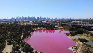 Jazero zo dňa na deň zružovelo: Turisti vzali nezvyčajný úkaz útokom