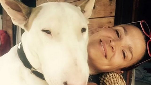 Kus zadku máš pod stromom! Bočanovej drsný odkaz zlodejovi, na ktorého sa vrhol jej bullteriér!