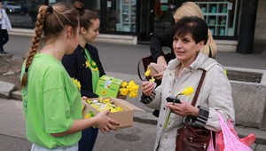 Deň narcisov na Slovensku: Novinkou je aj terminál, takto spoznáte správneho dobrovoľníka
