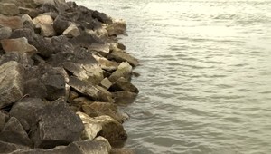 Dunaj vyplavil telo ženy. Policajtom sa ju zatiaľ nepodarilo identifikovať