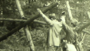 Ústav pamäti národa žiada po vzore Českej republiky nepremlčateľnosť zločinov komunistickej totality