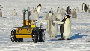 O tučniaky na Antarktíde sa stará robot Husky