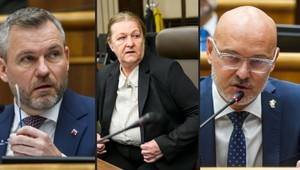 Kam patria reedukačné centrá a riešia reálne problémy? Naši politici netušia