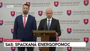 Tlačová beseda: SaS o spackanej energopomoci