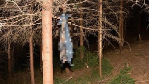 Páchateľ utýraného psa spálil a zavesil na strom