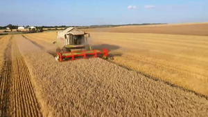 Poľnohospodári v zajatí závislosti: Európa neobstojí bez dovozu