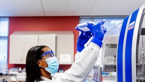 Vďaka projektu SAV sa vracajú nielen naši mladí vedci zo zahraničia, ale prichádzajú aj tí zahraniční