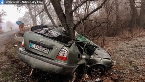 Auto narazilo do stromu, šofér nemal šancu prežiť