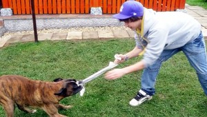 Adrián (†21) neprežil zábavu v bare. Polícia obvinila tínedžera (17)!