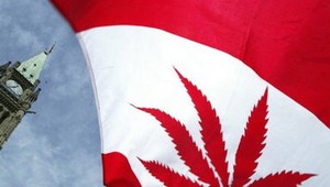 V Kanade legalizovali marihuanu, odsúdení dostanú milosť