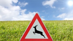 Lepšie je zraziť zviera, ako dostať v rýchlosti šmyk