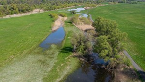 Obyvateľom Záhoria pijú krv premnožené komáre