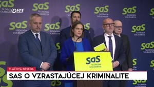 Tlačová beseda SaS o vzrastajúcej kriminalite