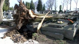 Silný vietor vyvrátil lipu, konáre zničili hroby