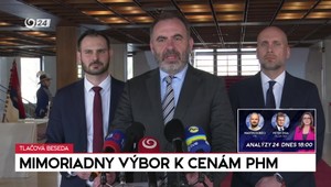 Tlačová beseda opozície k mimoriadnemu výboru k cenám PHM