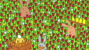 Otestujte svoje vnímanie: Za koľko sekúnd nájdete na obrázku veľkonočné vajíčko?