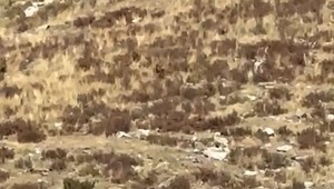 Šok cestujúcich vo vlaku: Prešiel okolo nich Yeti?