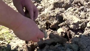 Prekvapenie v kope hliny: Na pozemku mu desaťročia ležala zbraň