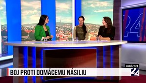 Analýzy 24 o domácom násilí na ženách