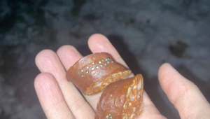 Páchateľ rozhadzuje po meste kontaminované mäso: Jeden pes už na to doplatil životom