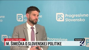 ROZHOVOR: Michal Šimečka o slovenskej politike