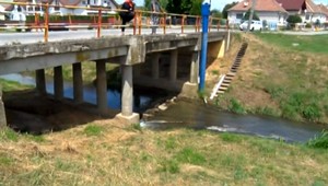 Deti našli v potoku mŕtveho psa, mal bodné rady