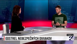 O premnožených diviakoch v Štúdiu JOJ 24: Najväčším problémom sú opustené záhrady