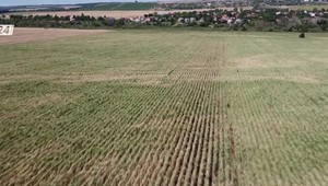 Spektrum 24 o extrémoch tohtoročného leta