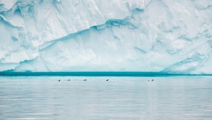 V arktickom oceáne vznikol desivý jav: Má aj svoje obete