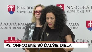 Tlačová beseda strany PS: Ohrozené sú ďalšie diela