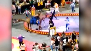 Kopala, hádzala sebou a zranila šesť detí. Počas predstavenia sa splašila ťava