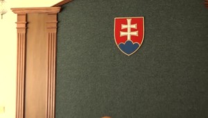 V super rýchlom konaní musia policajti zozbierať dôkazy do 48 hodín. Niekedy sa to nedá