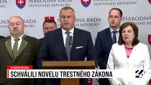 Tlačová beseda strany SNS po schválení novely Trestného zákona