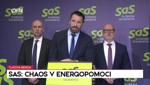 Tlačová beseda SaS: Chaos v energopomoci