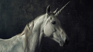 Šokujúce odhalenie: Slávny jednorožec v múzeu je podvod!