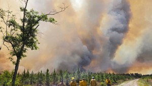 USA zápasia s ohňom: Požiare v Georgii zničili už 120 domov