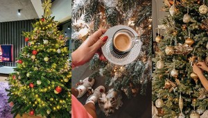 Vianočné stromčeky našich celebrít vám vyrazia DYCH!