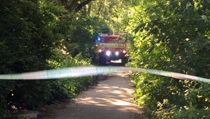 V Bratislave horela budova. Hasiči zachránili psíka