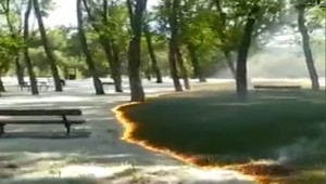 Plameň za pár sekúnd prebehol celým parkom: Neuhádnete, čo bolo príčinou