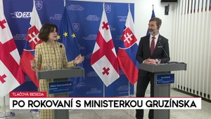 Tlačová beseda ministra Blanára po rokovaní s ministerkou Gruzínska
