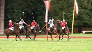 Kone a pálky. Konské pólo začína byť u nás populárnejšie