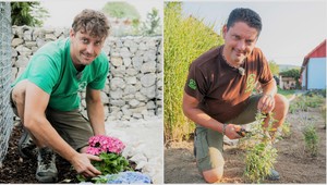 Chcete záhradu plnú farebných kvetov aj bez veľkej námahy? Posaďte si TIETO 4 trvalky!