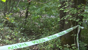 Turista našiel v lese pri Starej Turej kostrové pozostatky. V lese mohli ležať celé roky