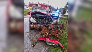 Vodič narazil čelne do stromu, nafúkal 3,06 promile